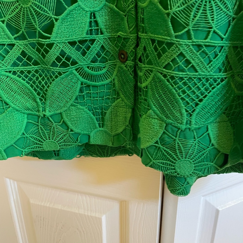 Anthropologie Green Lace Mini Dress - Picture 5 of 11